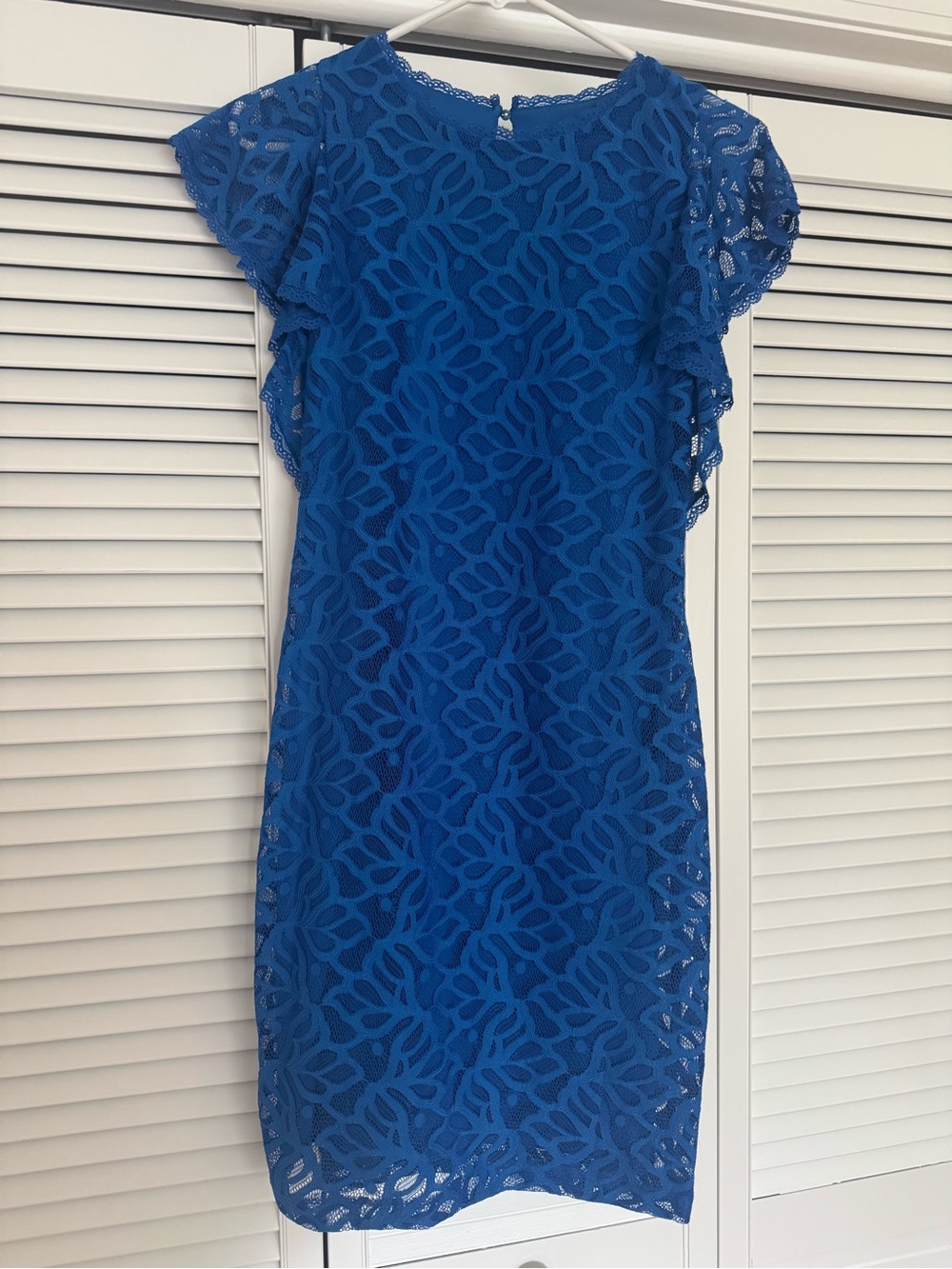 Laundry by Design Cobalt Lace Dress with Flutter Sleeves